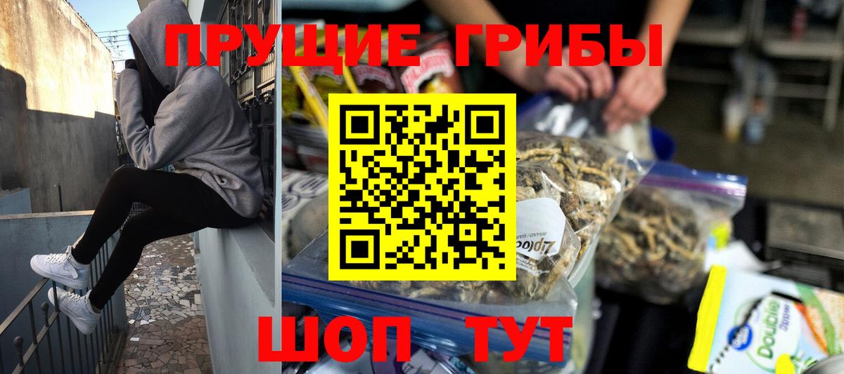 Псилоцибиновые грибы GOLDEN TEACHER Полевской